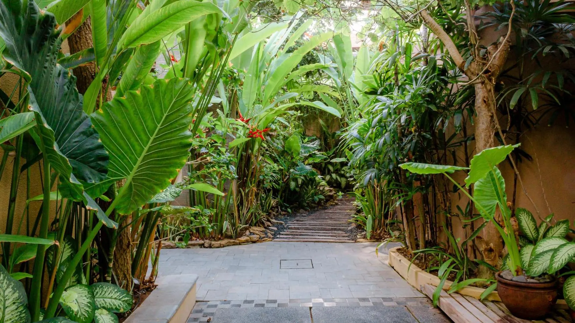 Lasanti Villas Seminyak سمينياك