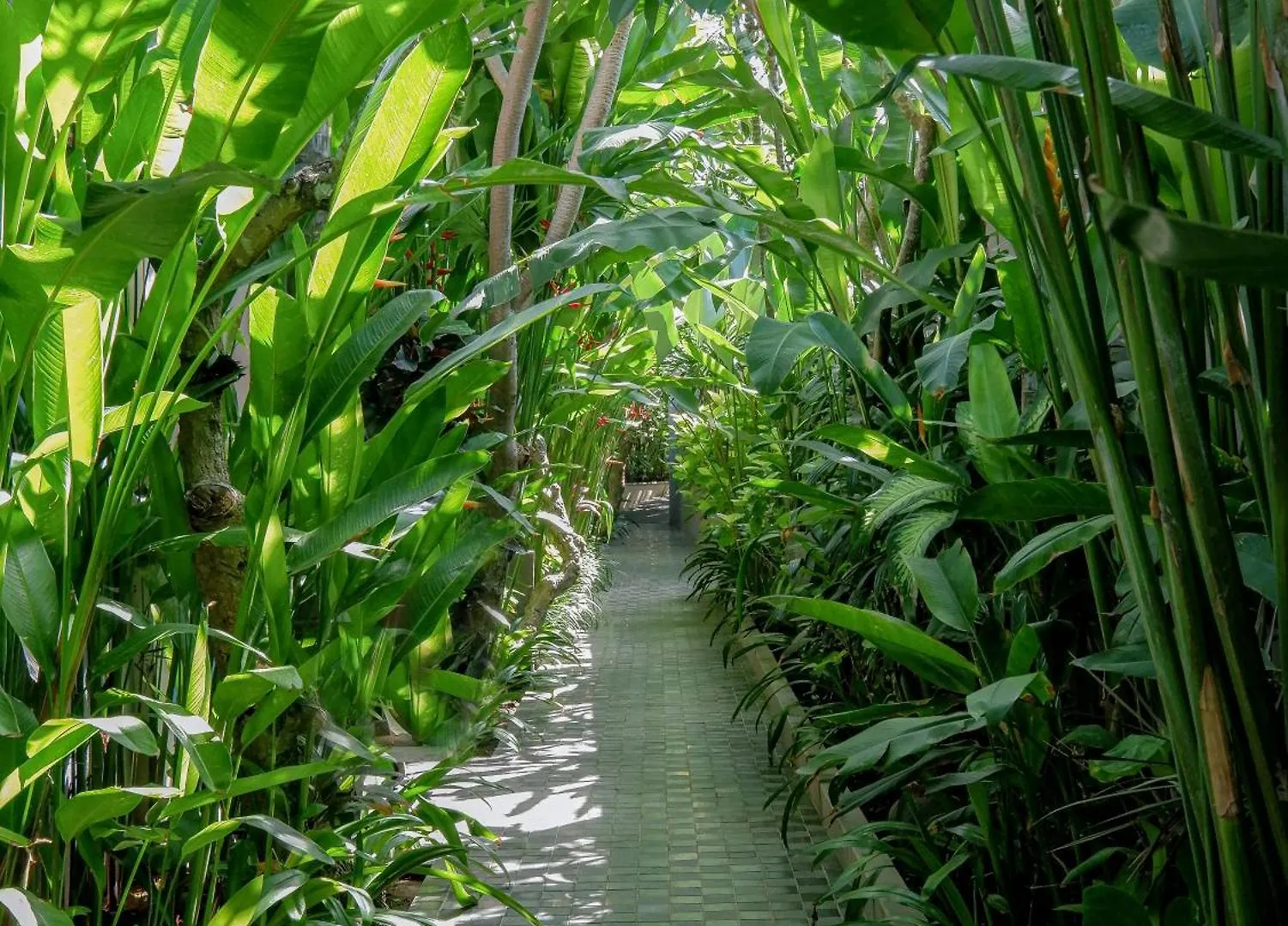 Lasanti Villas Seminyak Indonésia